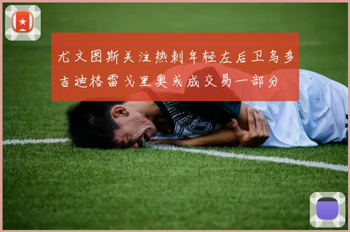 尤文图斯关注热刺年轻左后卫乌多吉迪格雷戈里奥或成交易一部分